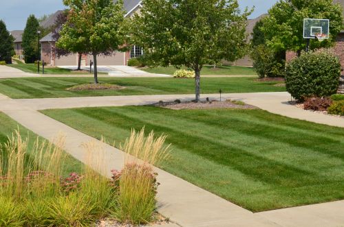 Residential Mowing Services BloomingtonNormal IL