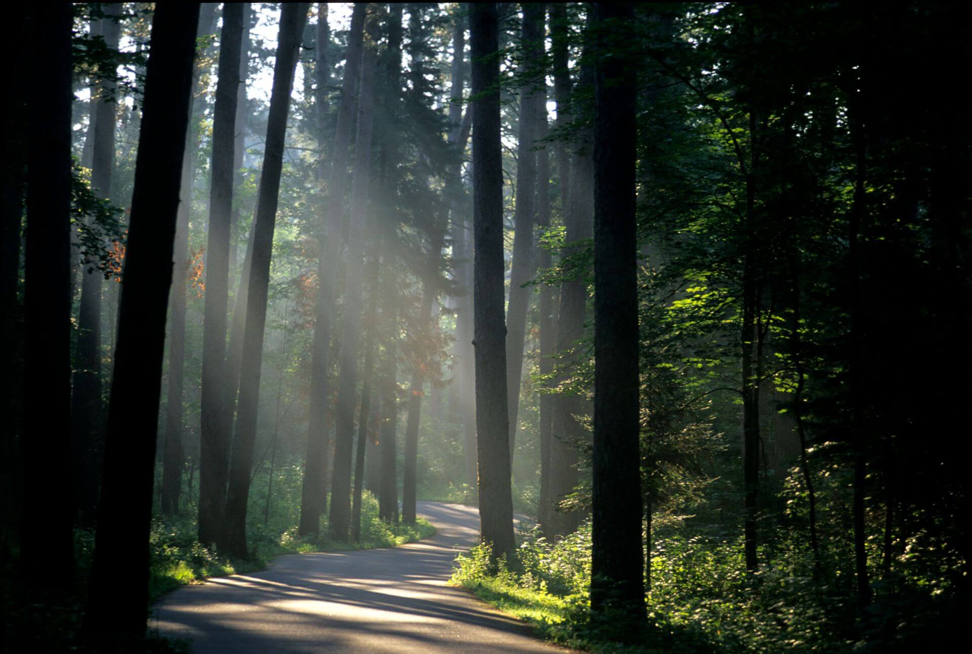 Contact Leech Lake Tribal Development Leech Lake, MN