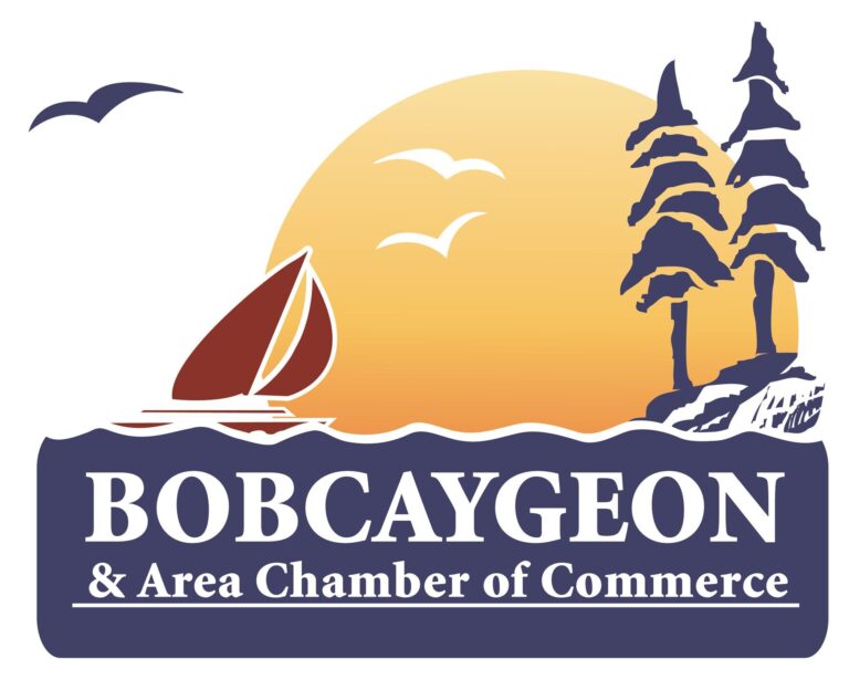  LLF Lawyers LLP, Barristers and Solicitors, LLF Law Firm in