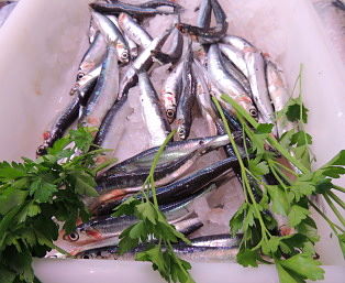 Boquerones Mercat de Llíria - Llíria ORG