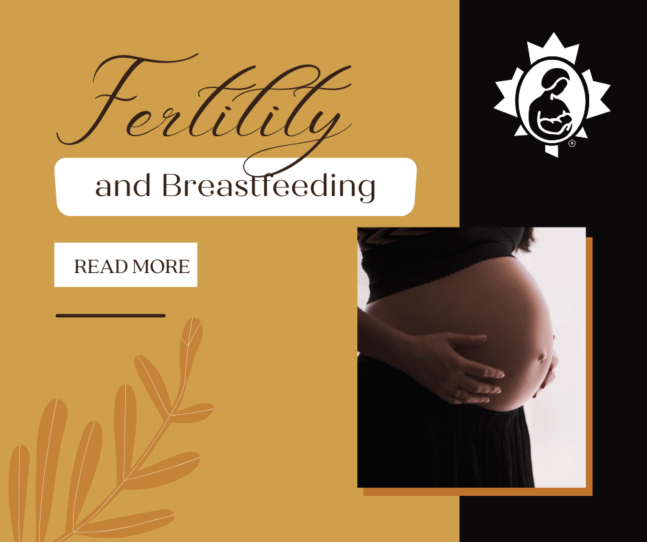 Fertility and Breastfeeding La Leche League Canada Breastfeeding