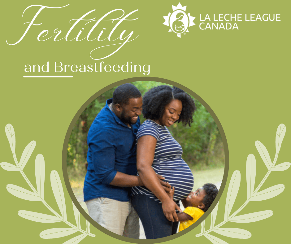 Fertility and Breastfeeding La Leche League Canada Breastfeeding