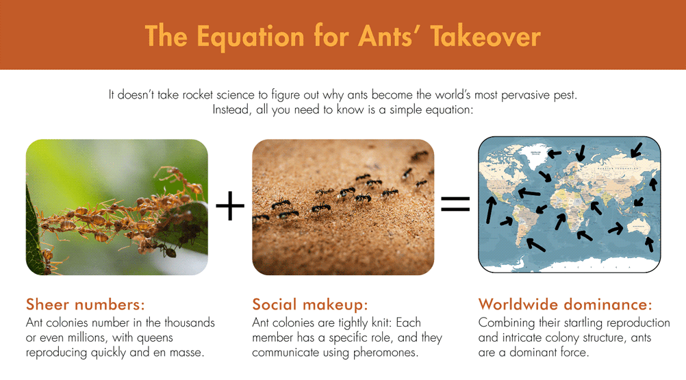 How Ants Became Southern California’s Number One Nuisance Pest Lloyd