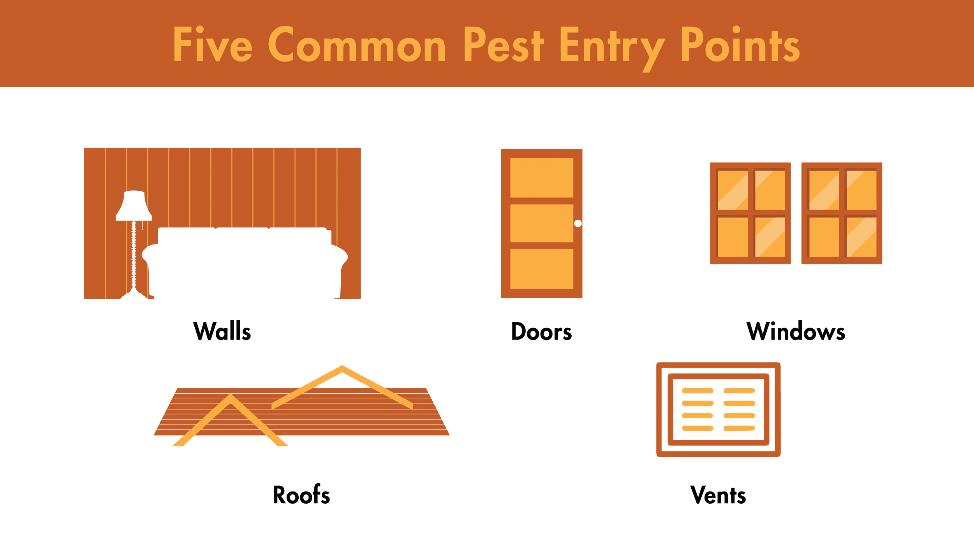 Keeping Them Out A Home and Business Guide to Pest Prevention Lloyd