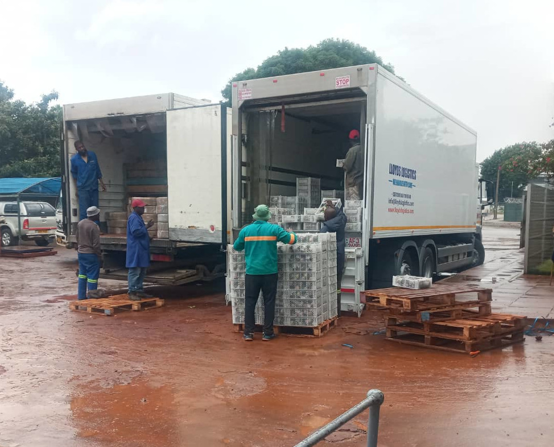 Lloyds Logistics Mutare, Zimbabwe Providing transportation services