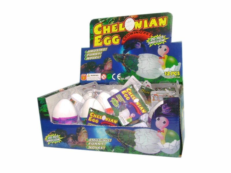 Hatching turtle egg growing toy funny toy Lilliput International