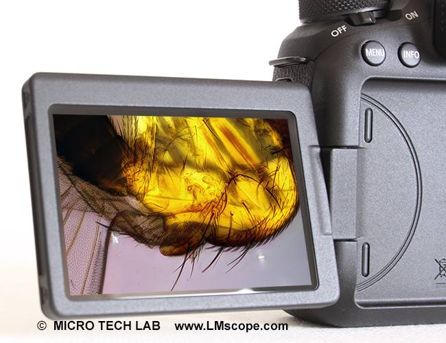 L'appareil photo plein format Canon EOS 6D Mark II, un appareil photo de microscope performant