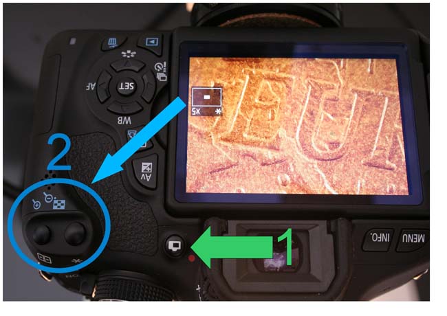 Canon Rebel T3i (EOS 600D) impresses at the microscope