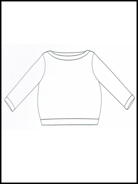 Résultat de recherche d'images pour "pull aster"