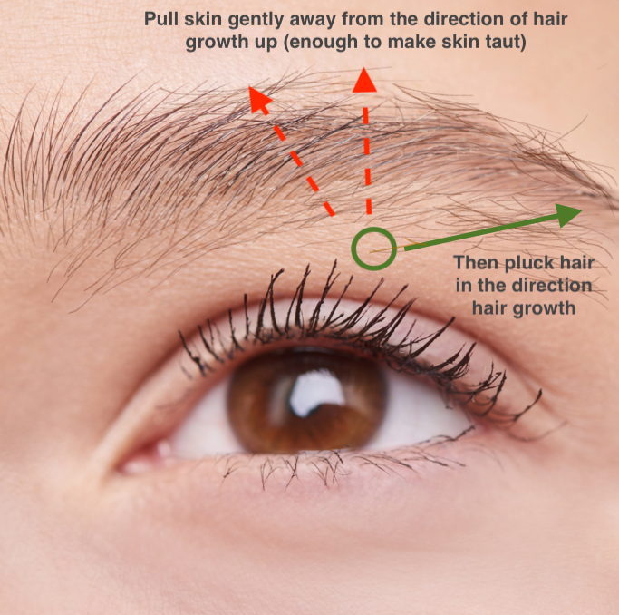 How to Pluck your Eyebrows without Messing Them Up Lo & Co.
