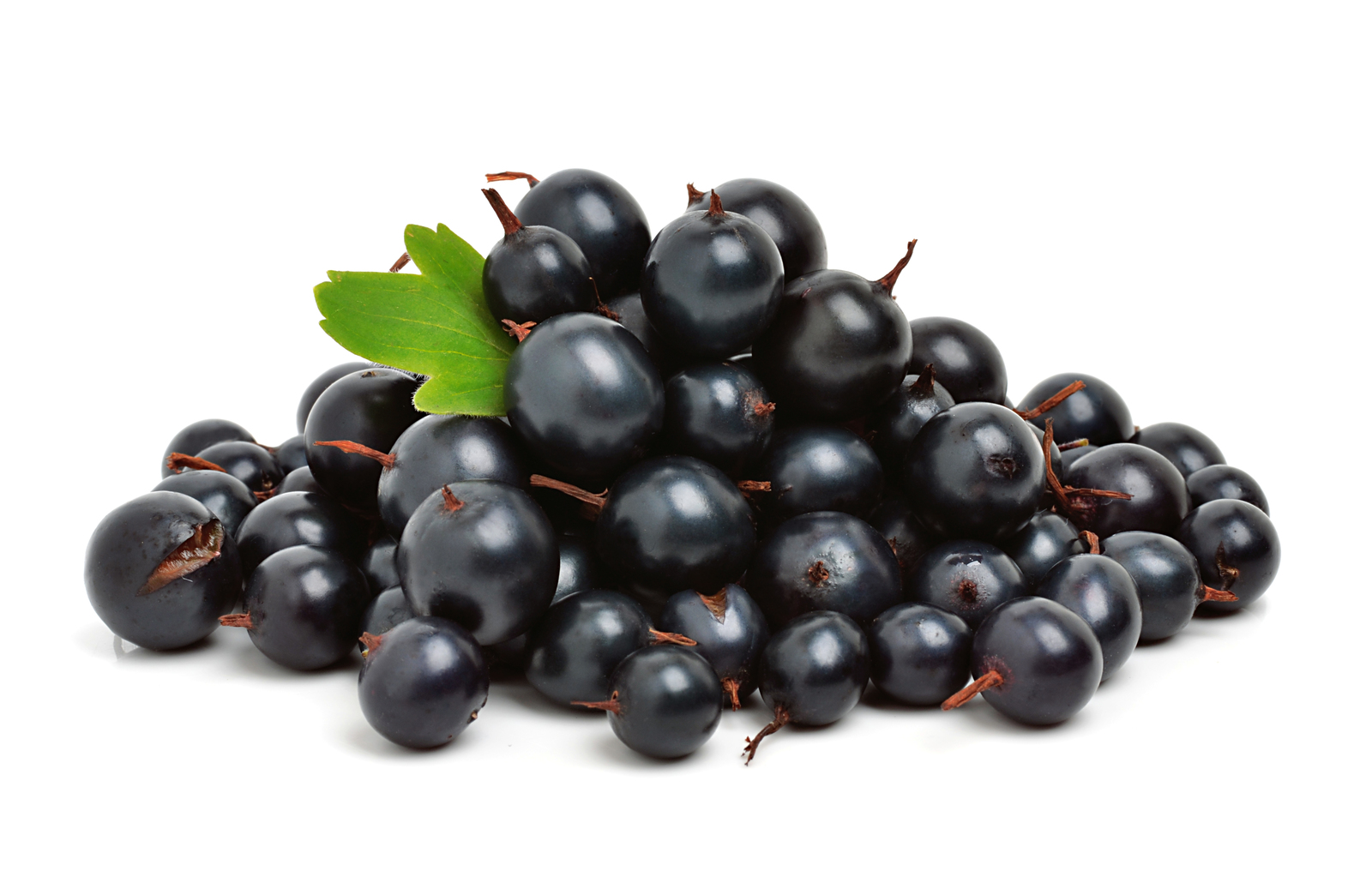 Ravi Fruit Blackcurrant Puree