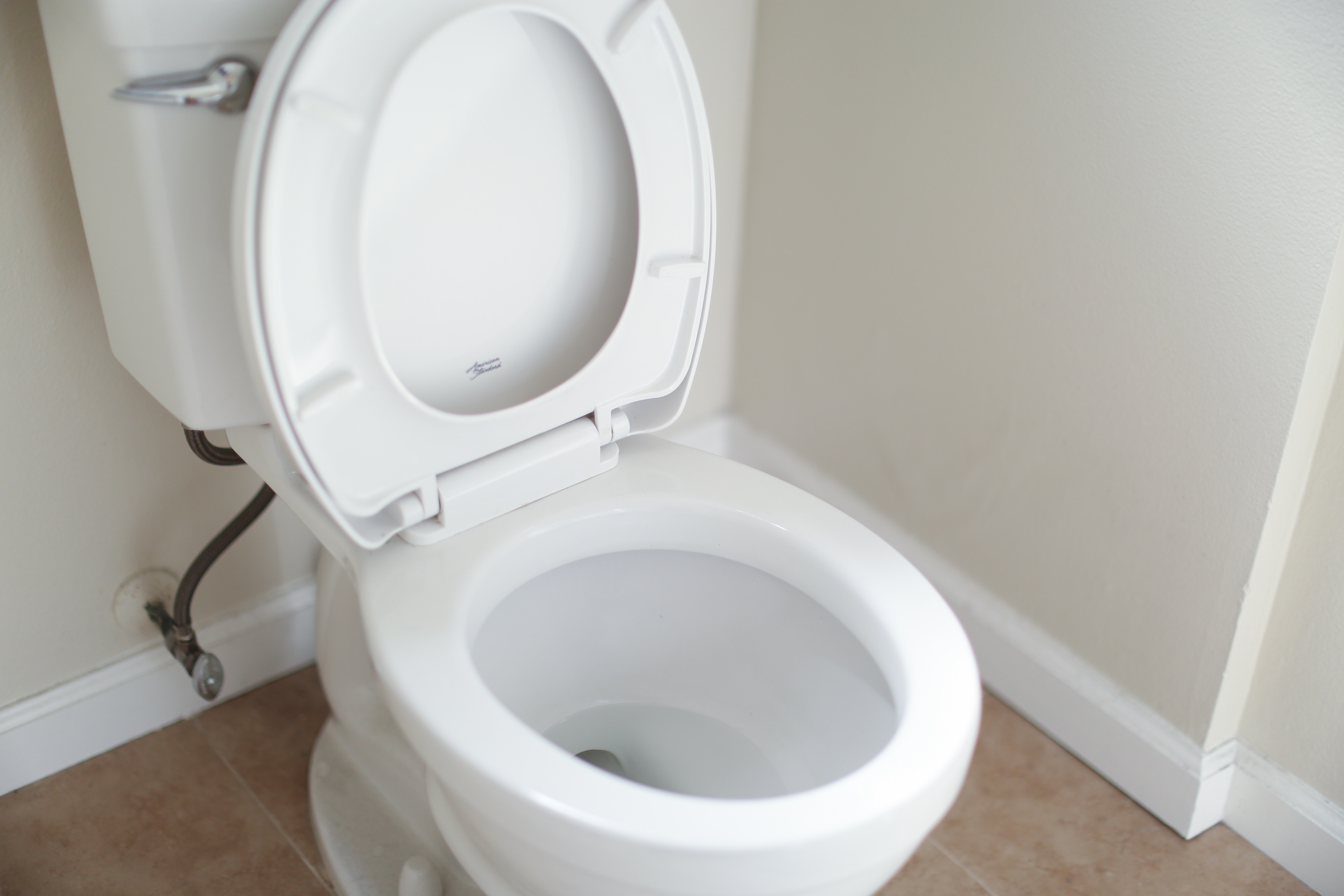 Replace Toilet Seat and Lid How To Replace Toilet Seat