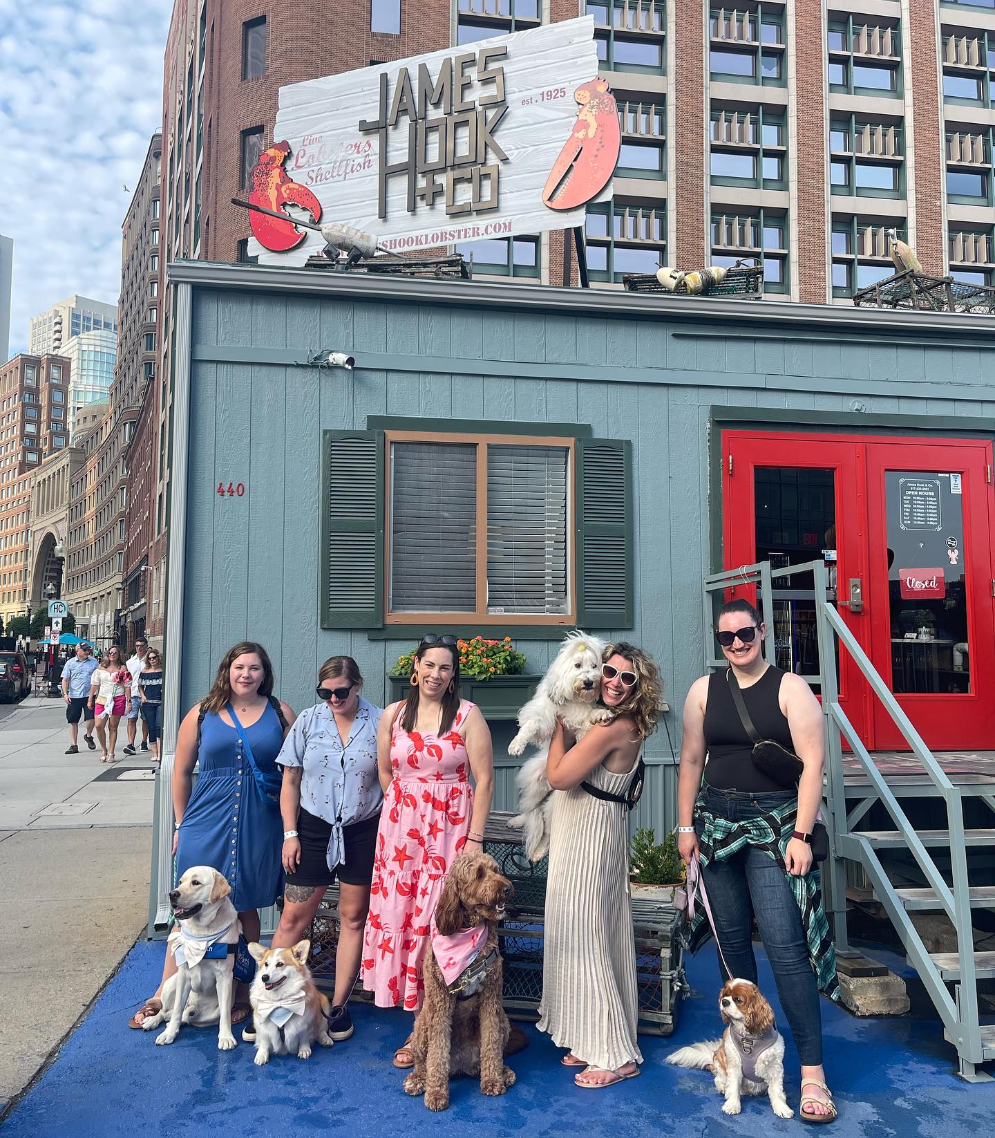 Best Oysters in Boston Discovering 20+ Top Oyster Bars