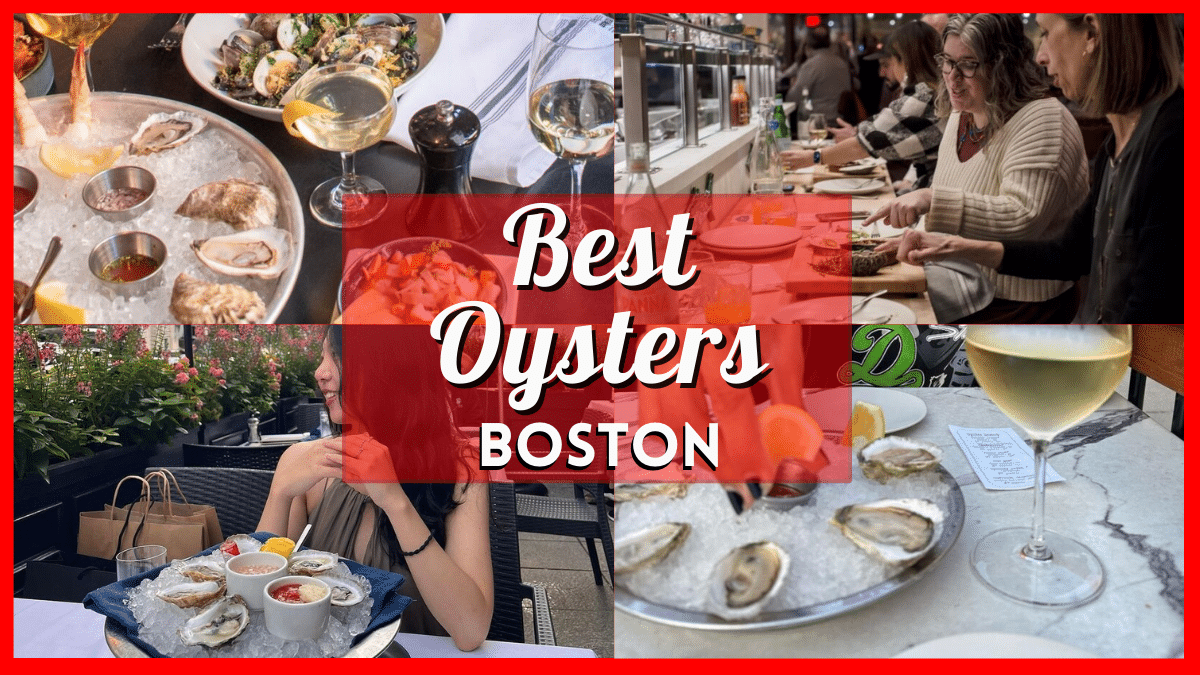 Best Oysters in Boston Discovering 20+ Top Oyster Bars
