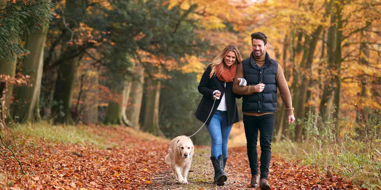 Top 6 Trails in Northern Virginia to Take Your Dog Paw Pals Pet Sitting
