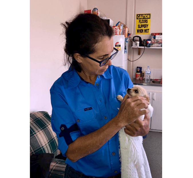 Meet Our TeamNorthern Rivers Veterinary Service