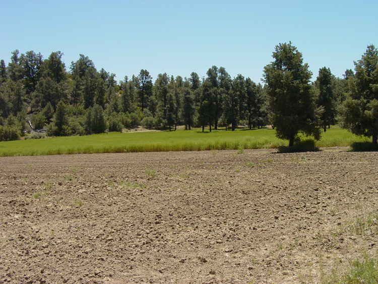 Lockwood Valley Ranch