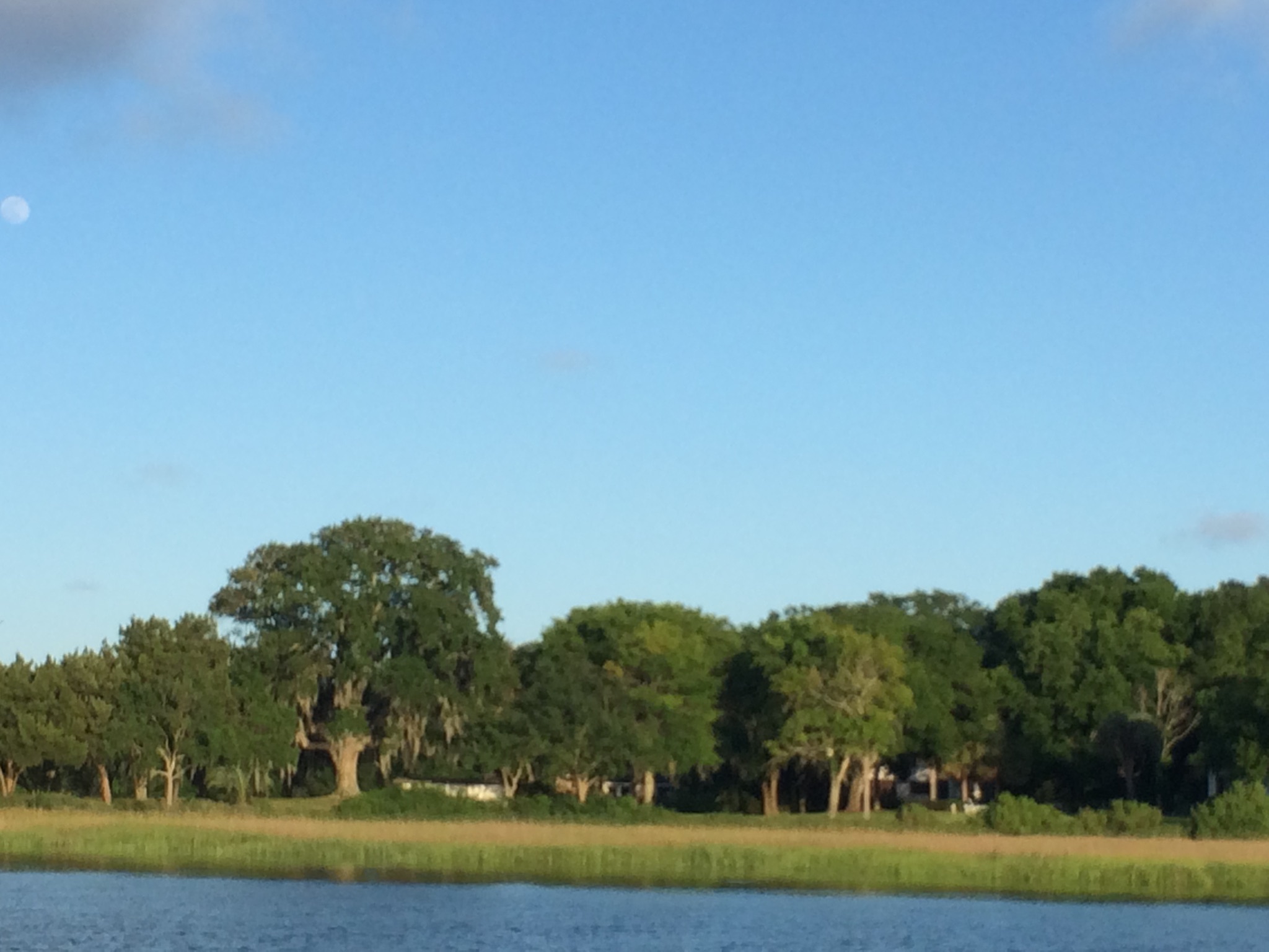 James Island Real Estate Buying and Selling homes for sale on James