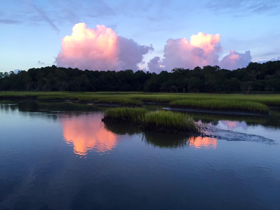 Marshfront Marshview Charleston SC Real Estate real estate listings