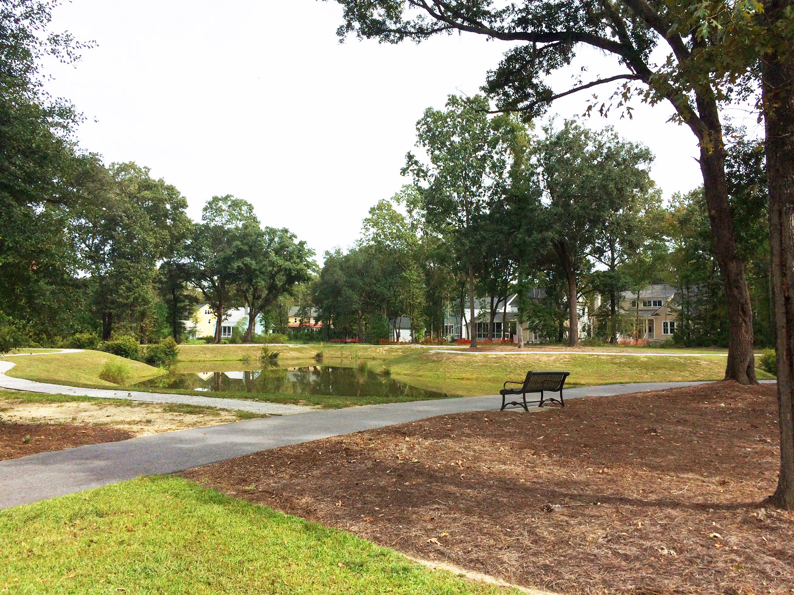 Mount Pleasant SC Real Estate Carolina Park Homes for sale in Mt