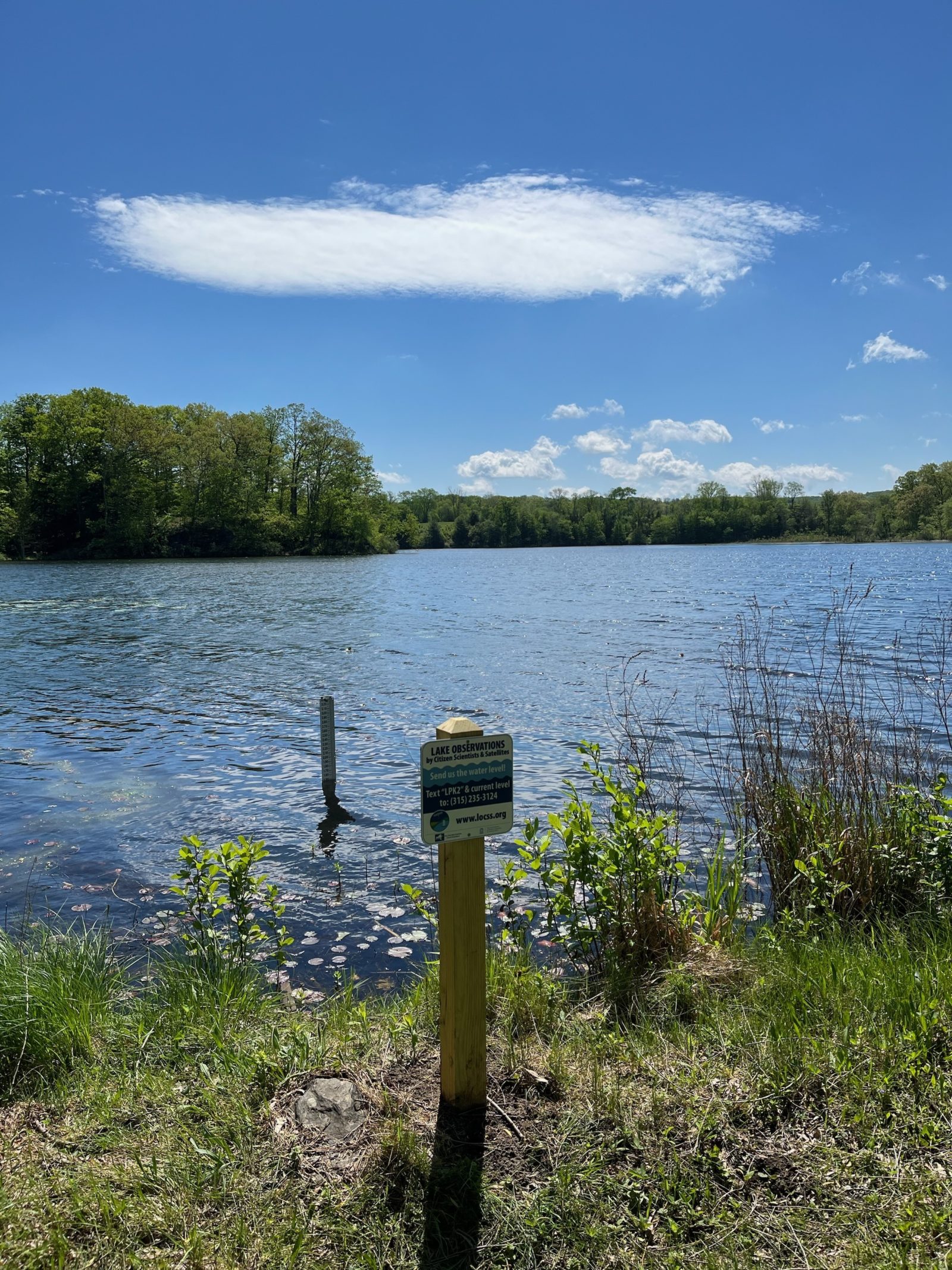 Long Pond Lake LOCSS