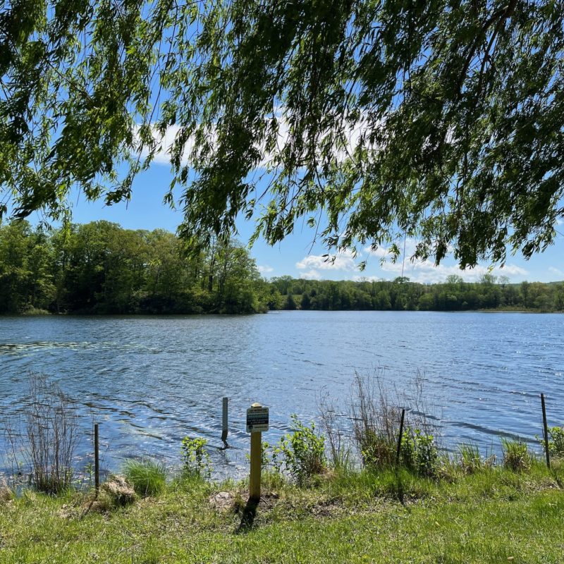 Long Pond Lake LOCSS
