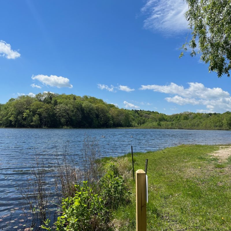 Long Pond Lake LOCSS