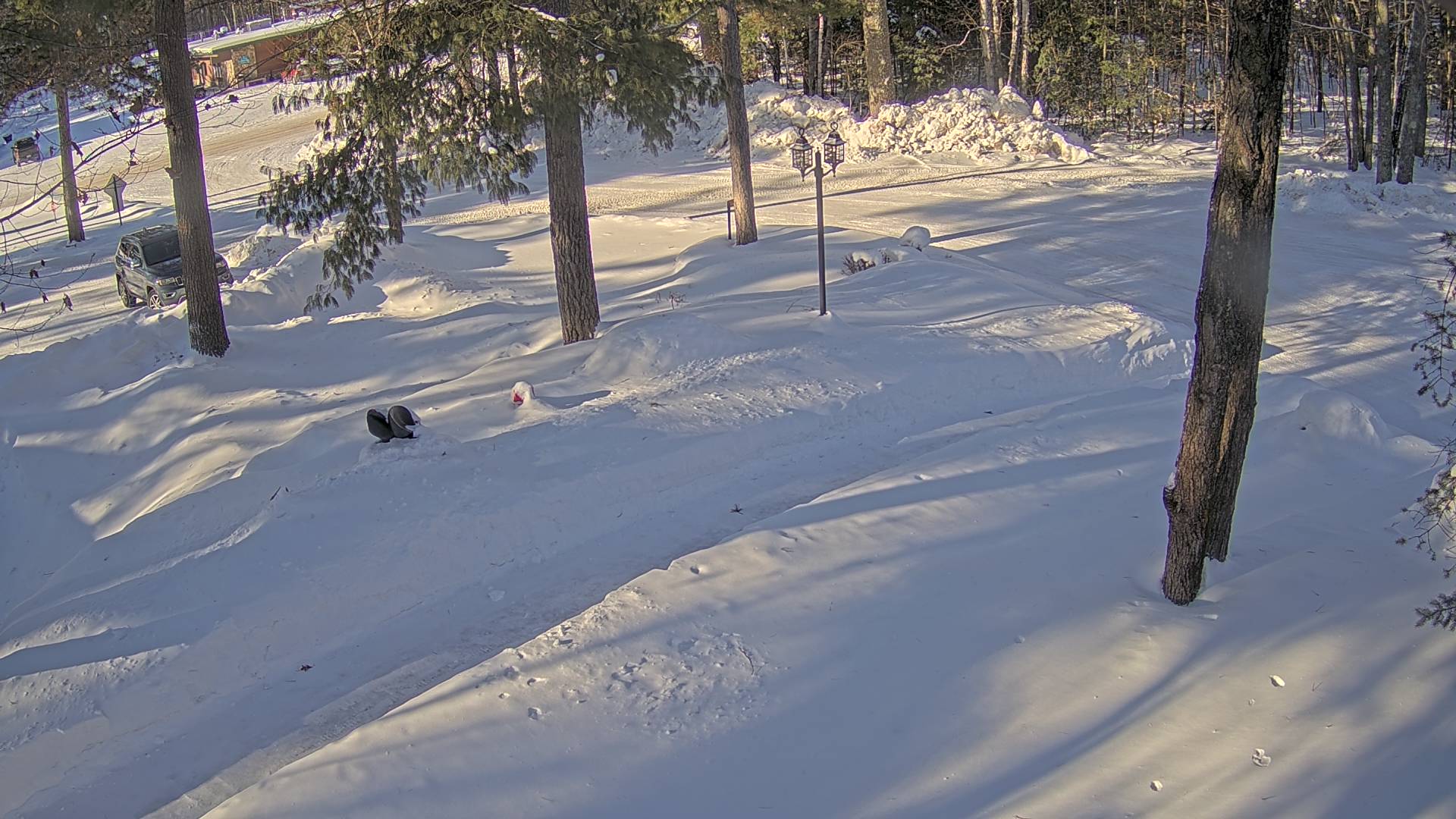 Northwoods Cam Network Mercer, WI