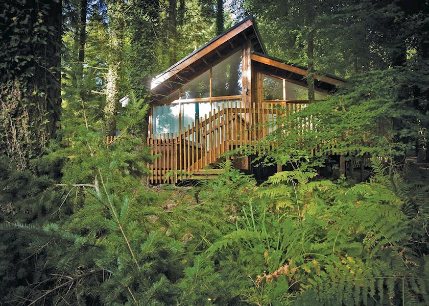 Gloucestershire Lodges with Hot Tubs. Top Cabin Breaks 2021