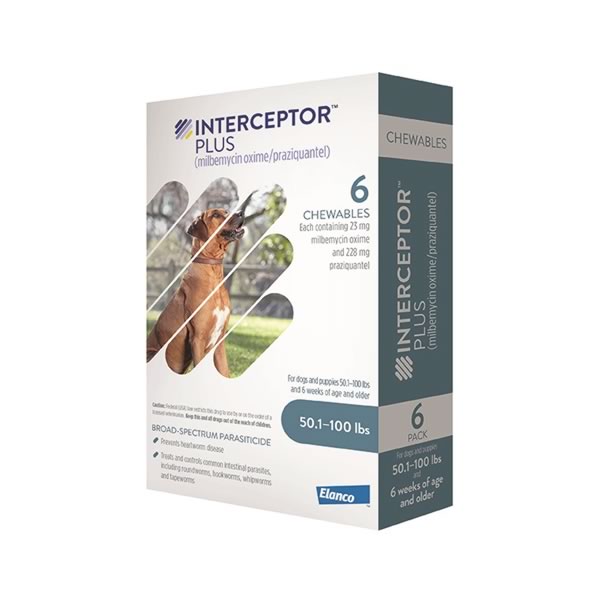 Interceptor Plus Lodi Veterinary Care