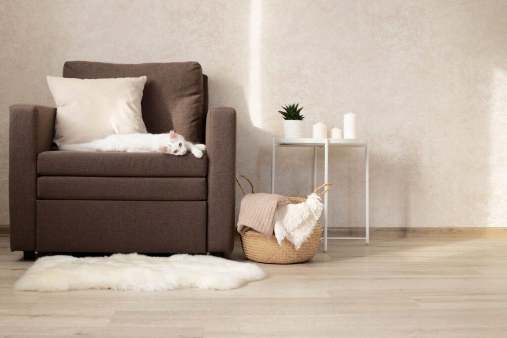 Design Ideas for Your Sheepskin Rug
