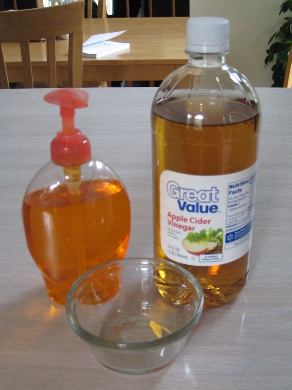The top 23 Ideas About Fruit Fly Trap Apple Cider Vinegar Home