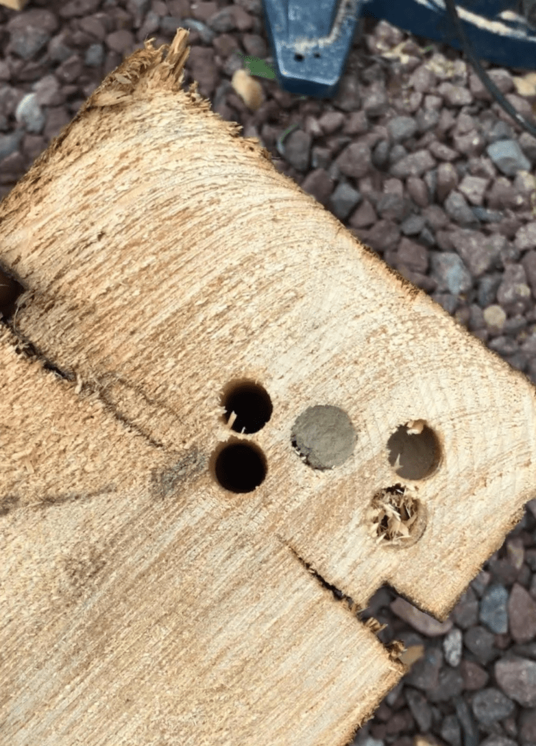 Repair Log Home Rescue