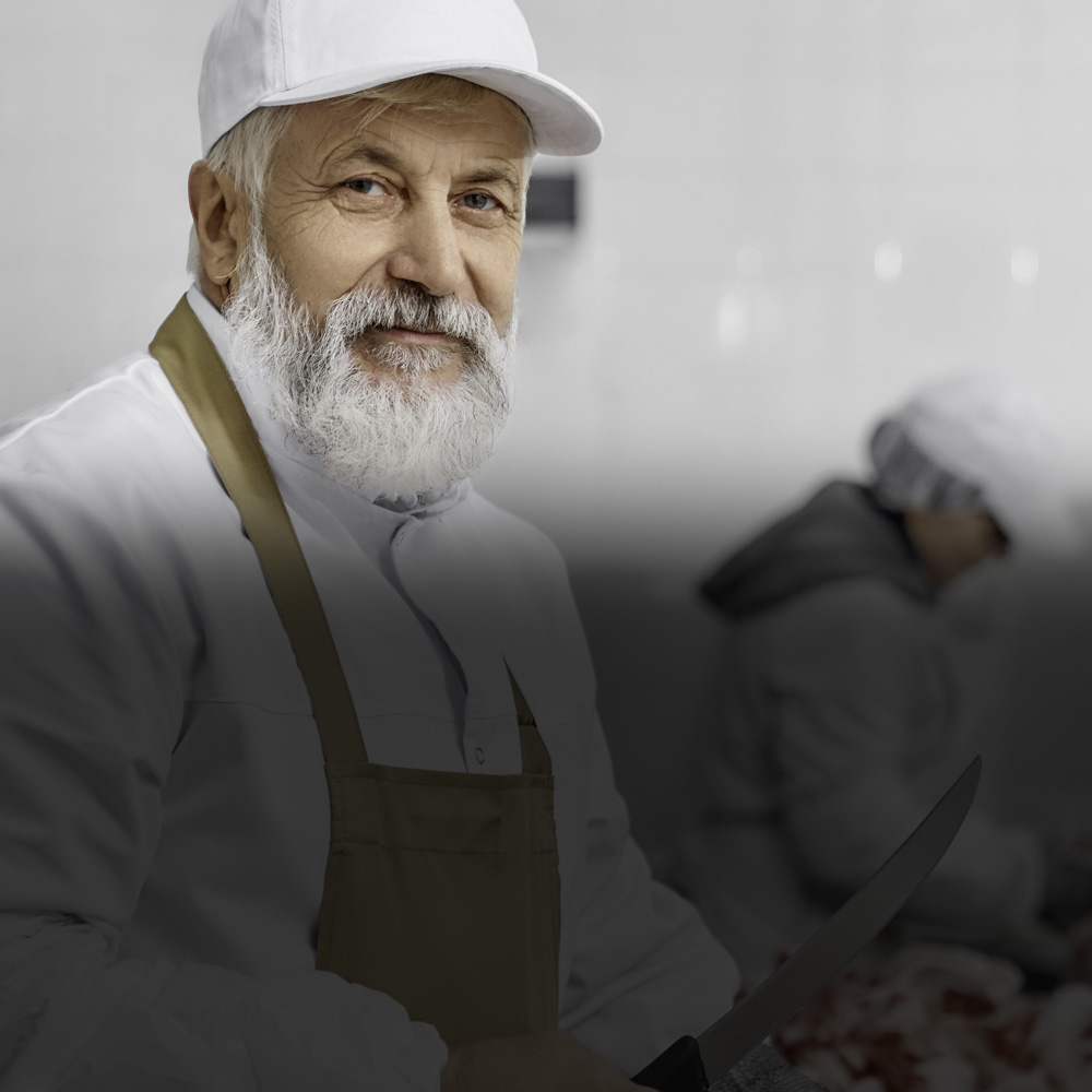 Slaughterhouse Logico2