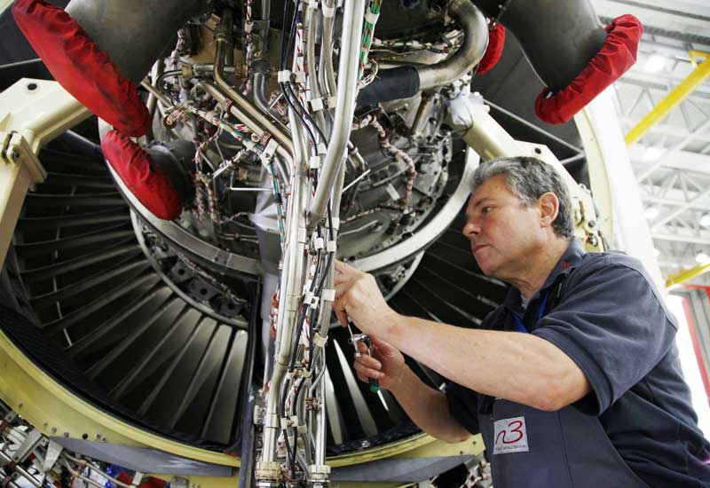 Lufthansa Cargo refuses to carry dogs and cats Logistics Middle East