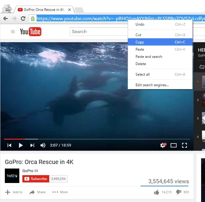SaveFrom Video Downloader Download Videos and Music for Free