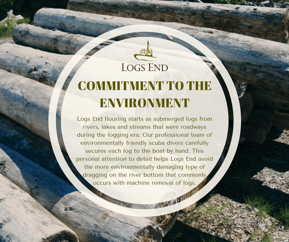 commitmenttotheenvironment Logs End
