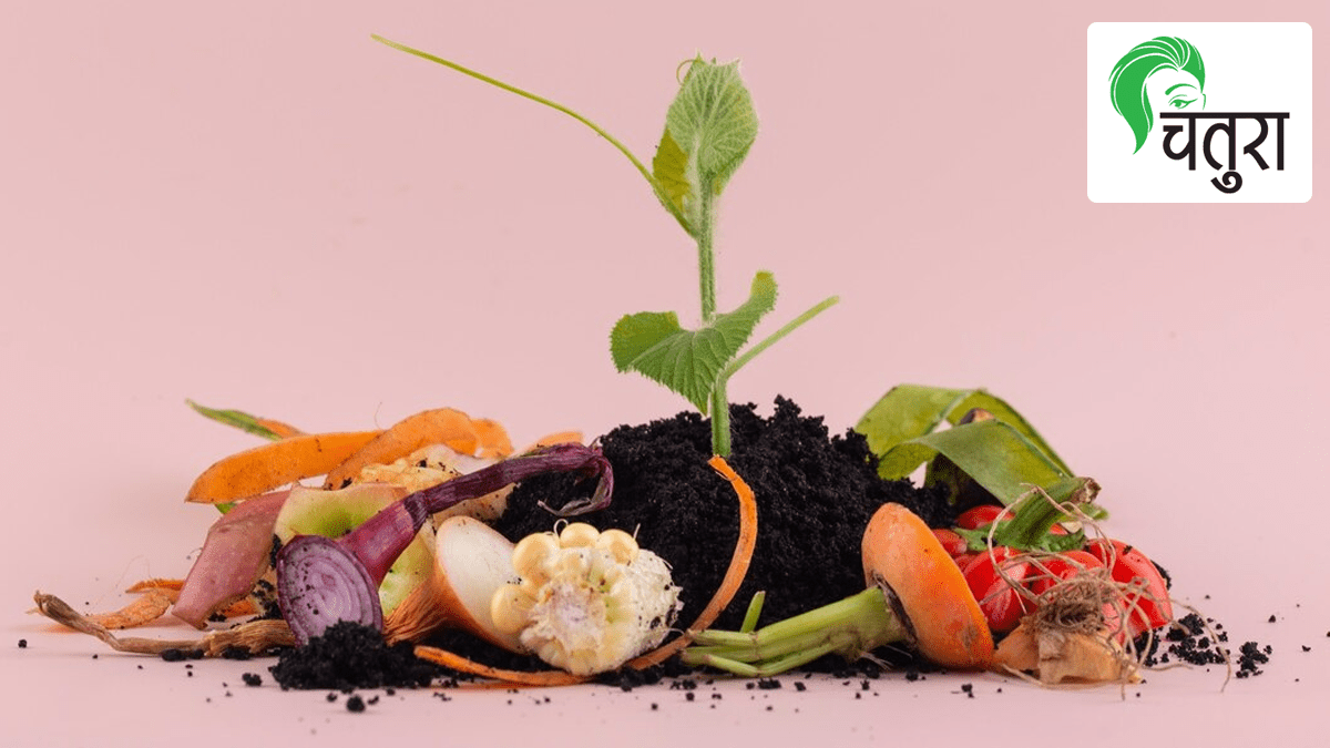 गच्चीवरची बाग हिरव्या मातीचे मैत्र Green soil is created from mulch