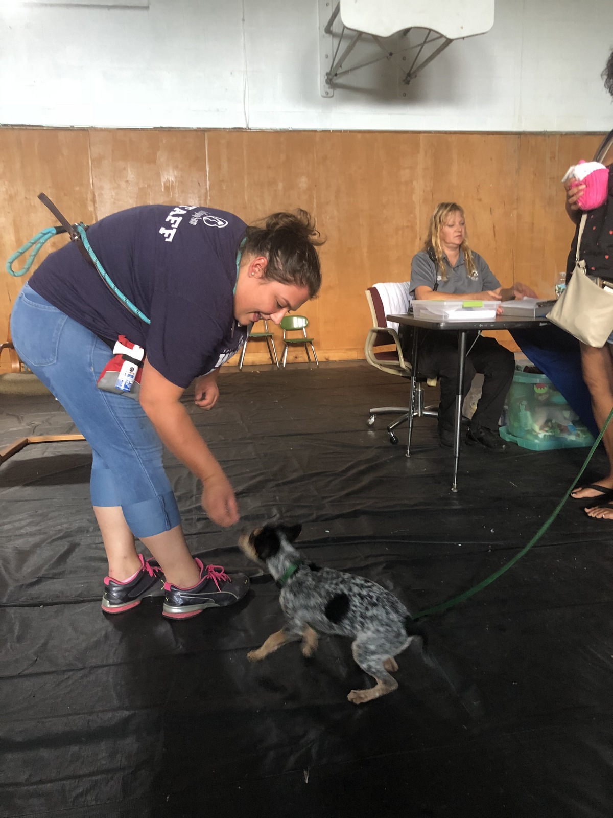 Free Vaccination Clinic Helps Rochester’s Pets and their families