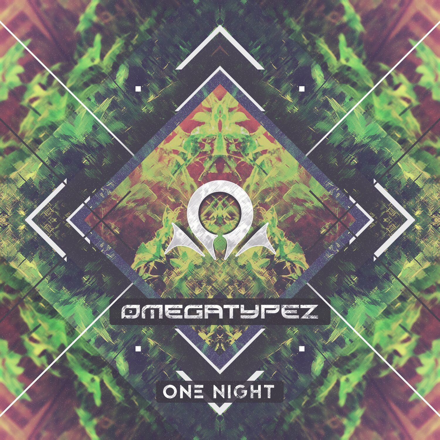 Cover art for the Omegatypez One Night Hardstyle lyric
