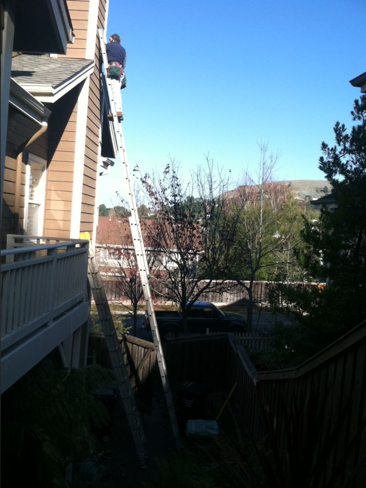 About Lomax Lomax Termite Control