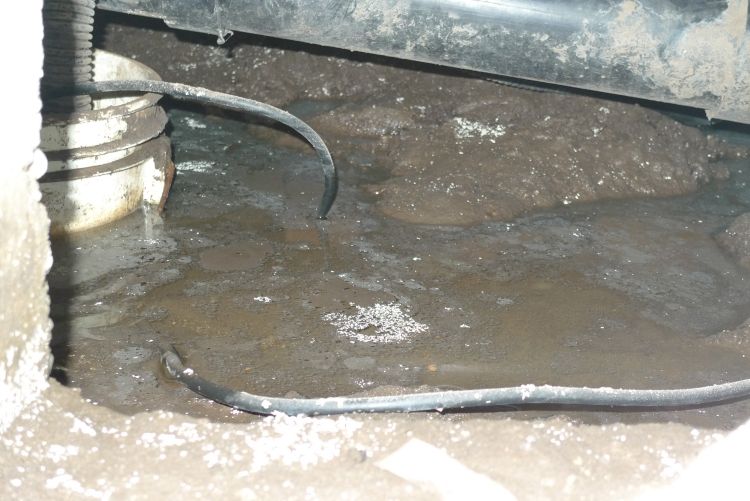 Sump Pumps Lomax Termite Control