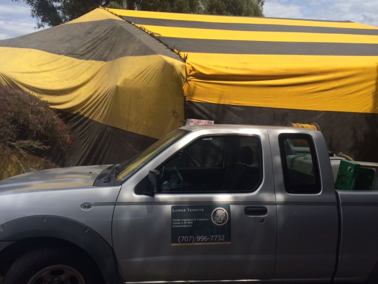 Fumigations Lomax Termite Control