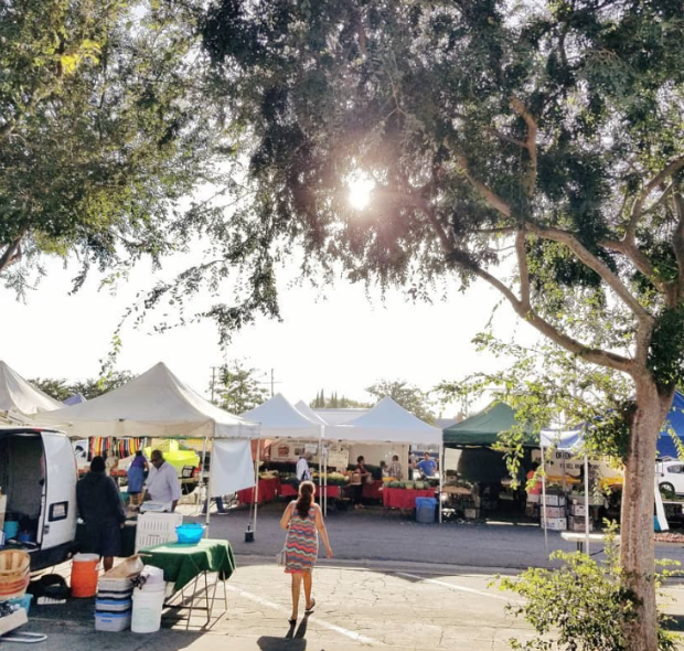 Shop Fresh and Local Every Day of The Week in Long Beach LB Stuff