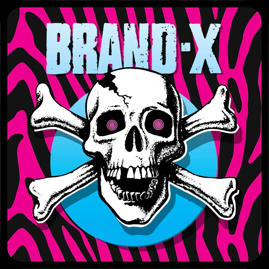 Brand-X Logo Patch 1.5" x 5" WHITE - CalStreets BoarderLabs