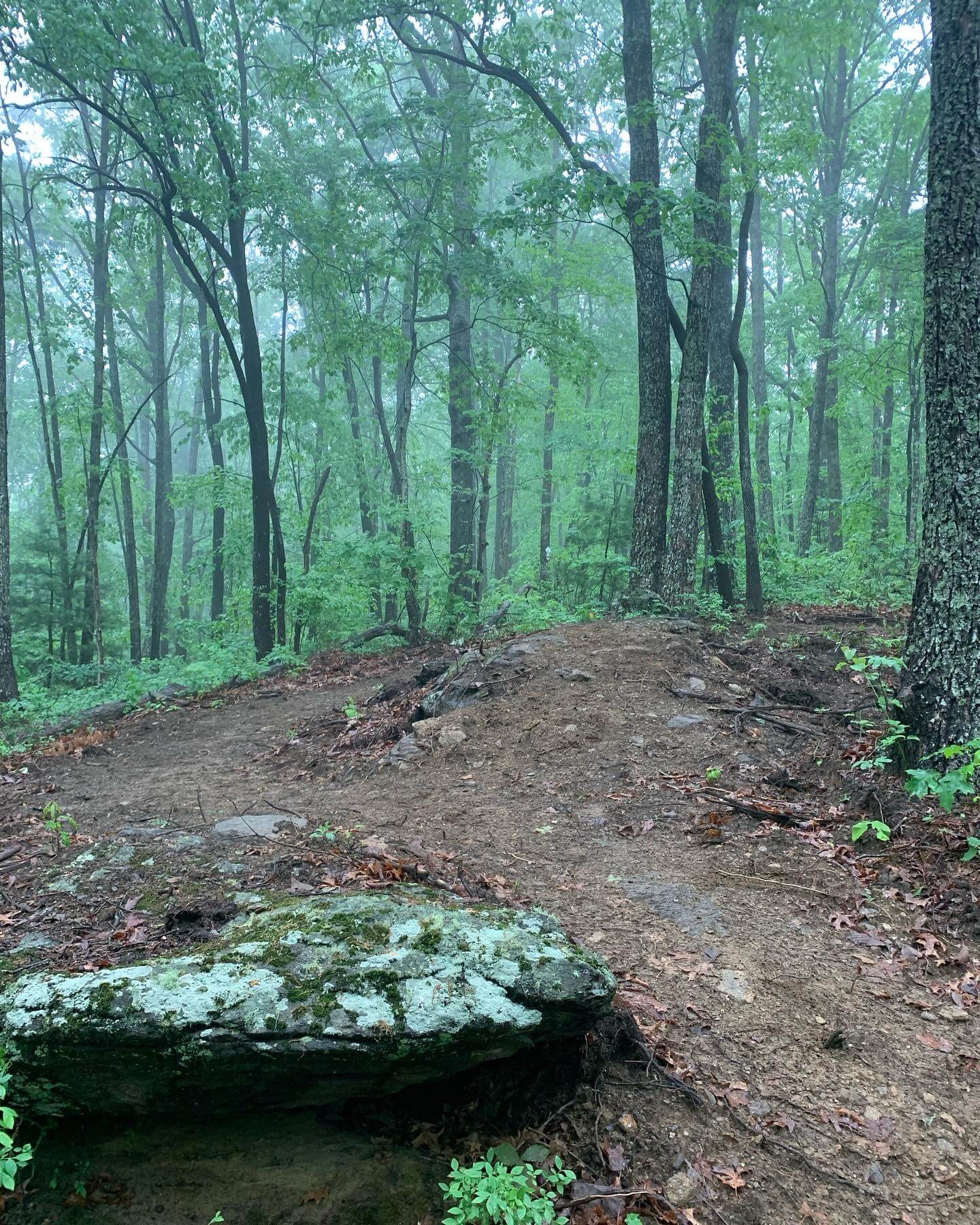 Green River Preserve Camp Long Cane Trails