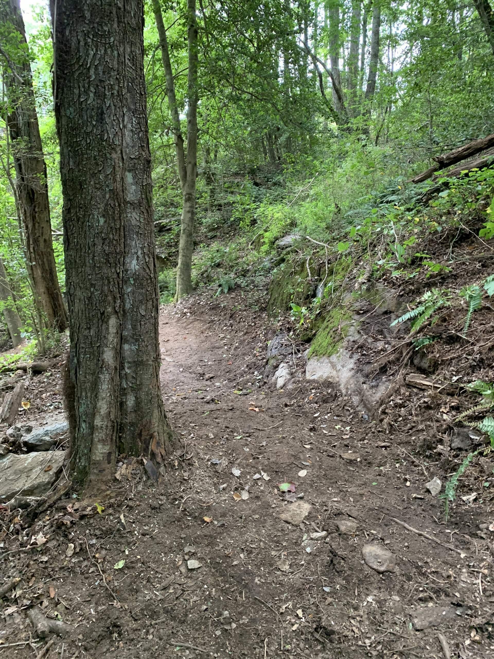Couch Mountain Development Phase III Long Cane Trails