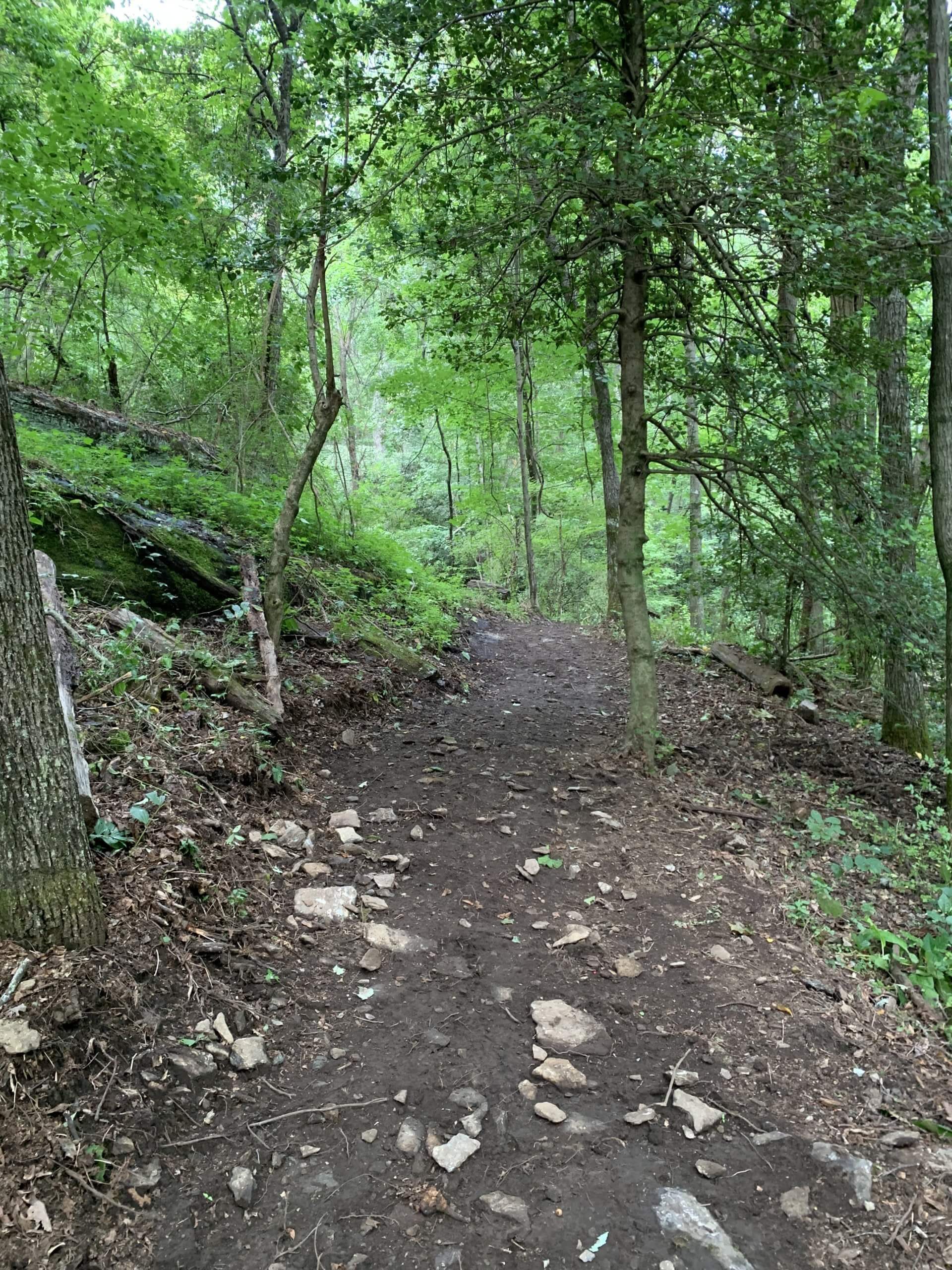 Couch Mountain Development Phase III Long Cane Trails