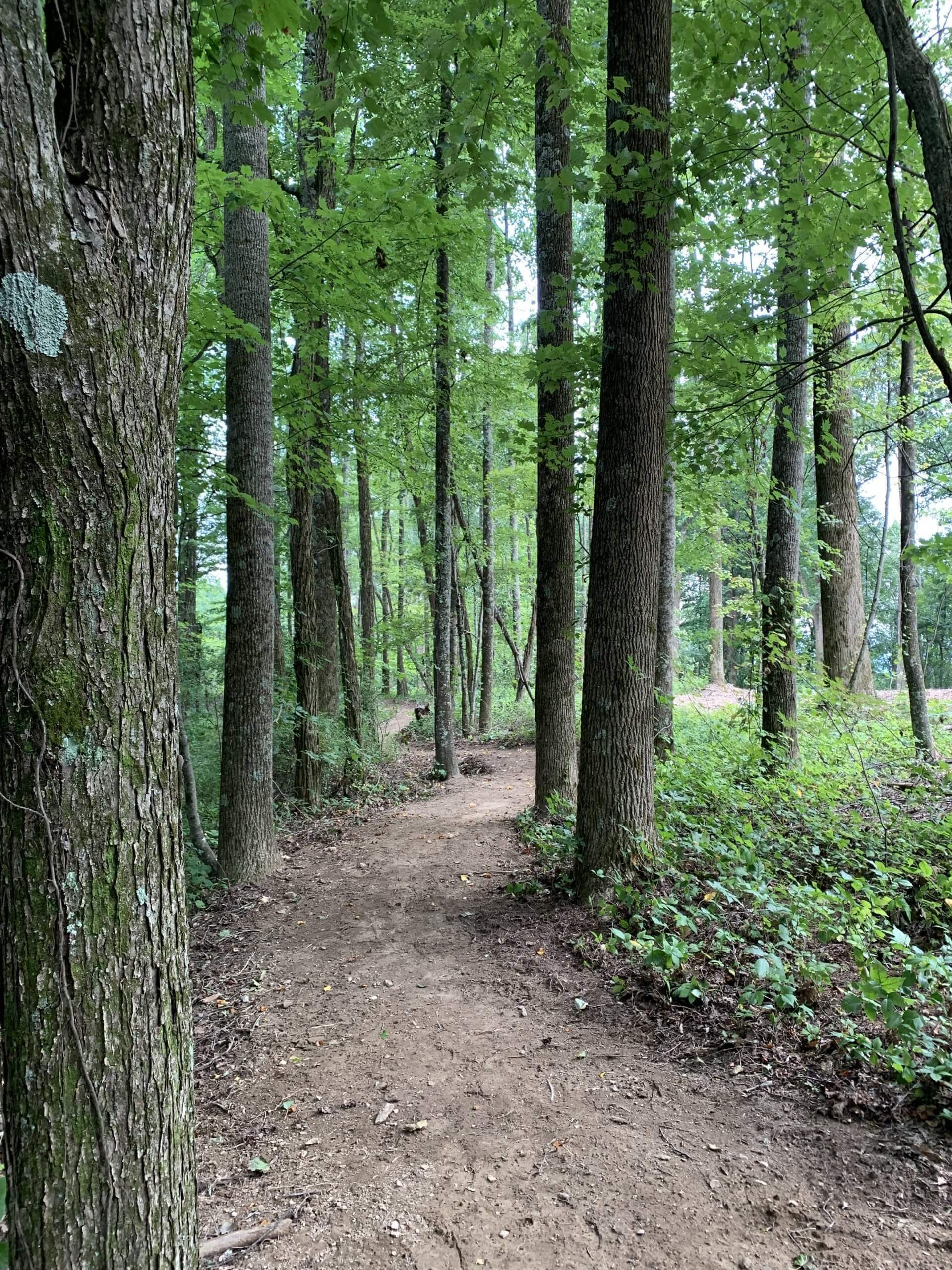 Couch Mountain Development Phase III Long Cane Trails