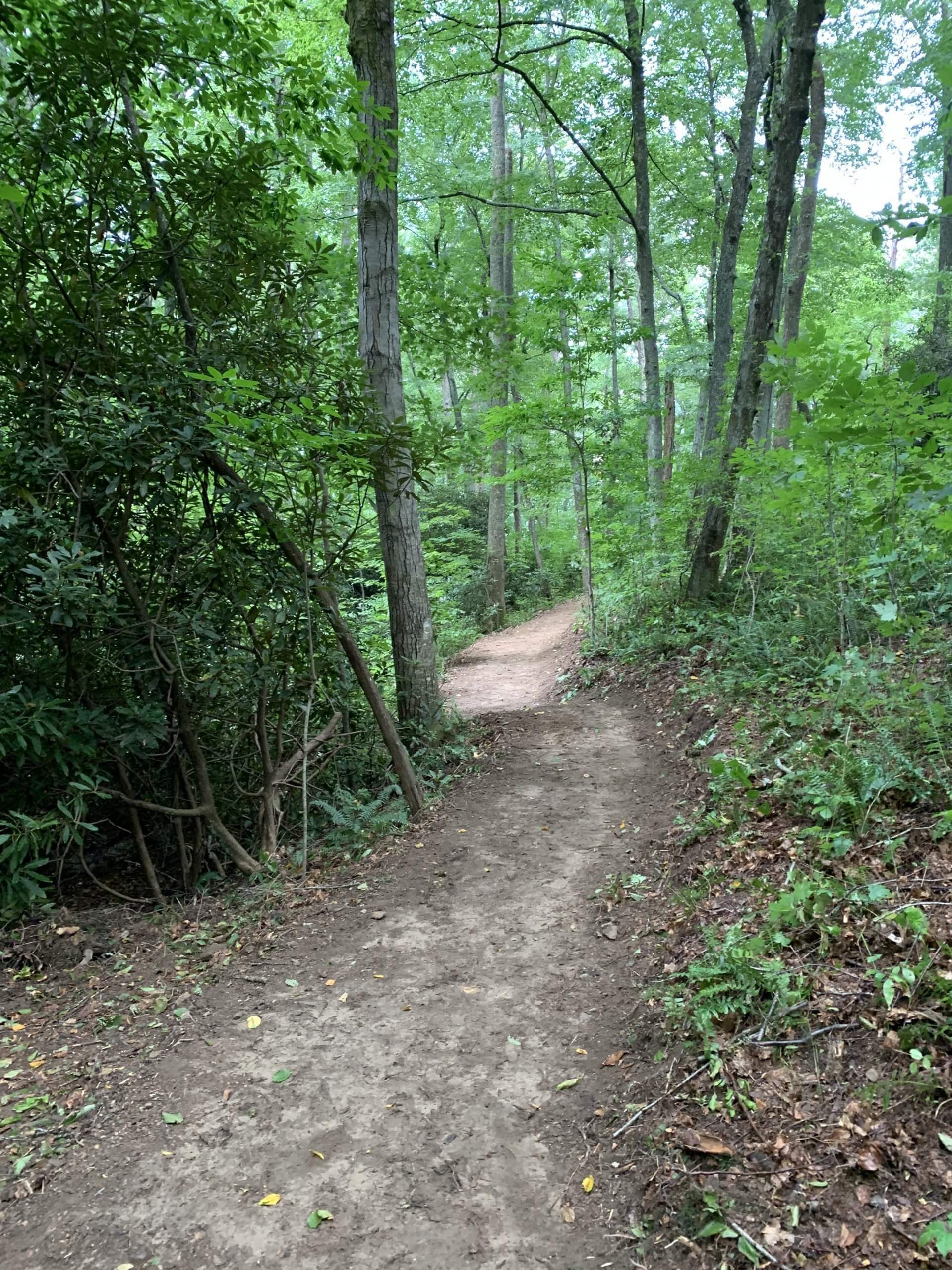Couch Mountain Development Phase III Long Cane Trails